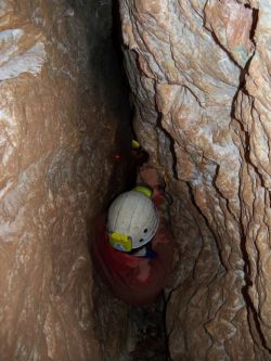 Foto Losonci Gábor Foto Losonci Gábor