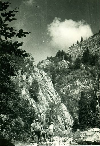 Pe V. Scorota spre Av. din Piule, 1970.07 Pe V. Scorota spre Av. din Piule, 1970.07