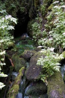 Izbucul Hoanca Morii